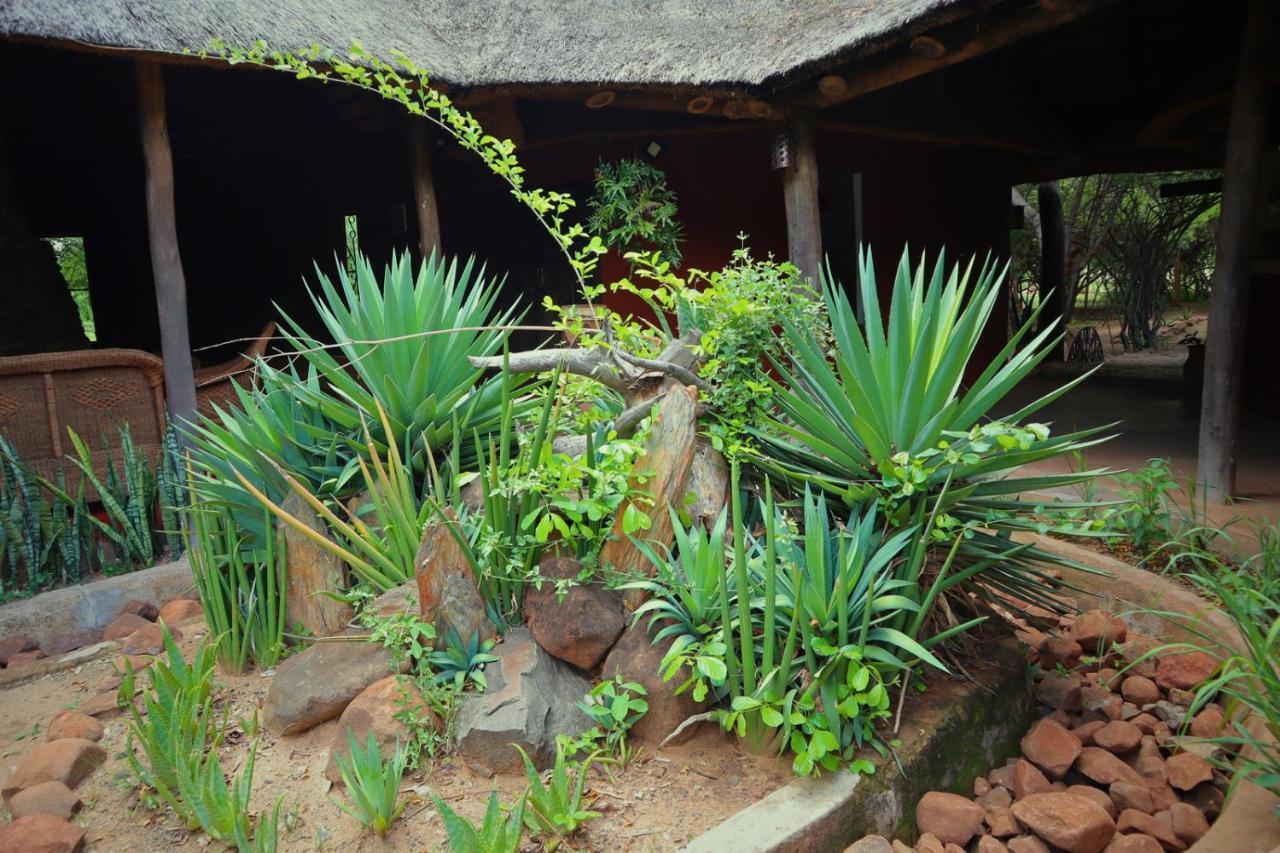 Munga Eco-Lodge Livingstone Exterior foto