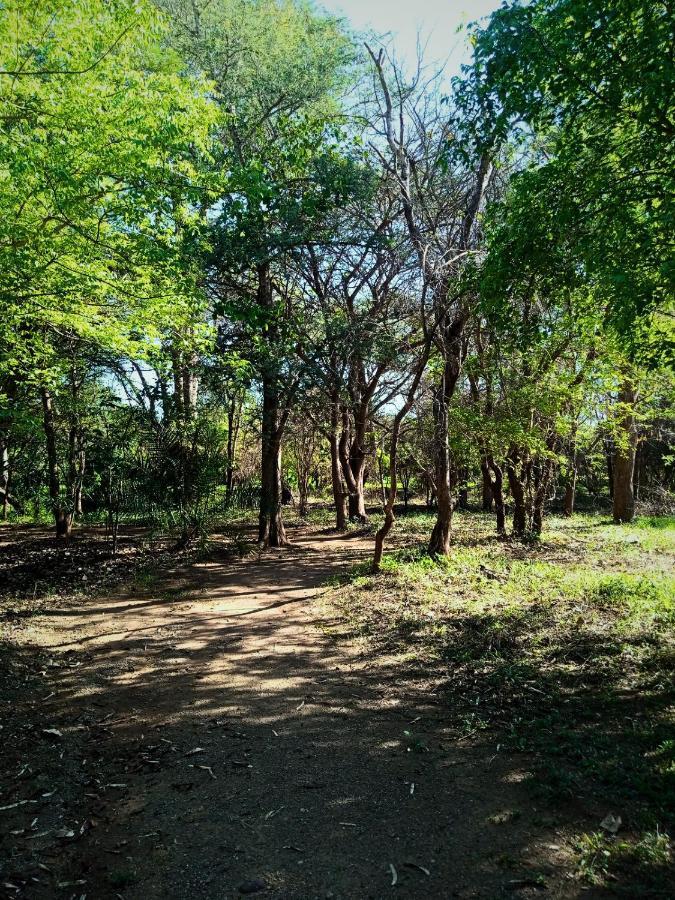 Munga Eco-Lodge Livingstone Exterior foto